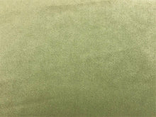 Load image into Gallery viewer, Designer Taupe Neutral Velvet Upholstery Fabric