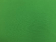 Load image into Gallery viewer, Perennials Green Canvas Indoor Outdoor Upholstery Drapery Fabric