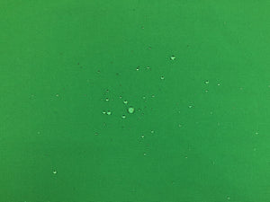 Perennials Green Canvas Indoor Outdoor Upholstery Drapery Fabric