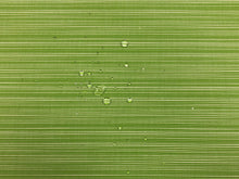 Load image into Gallery viewer, 1 3/4 Yd Designer Indoor Outdoor Lime Green White Stripe Upholstery Drapery Fabric