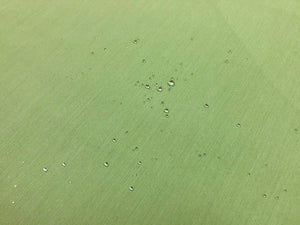 Perennials Green Outdoor Canvas Upholstery Fabric