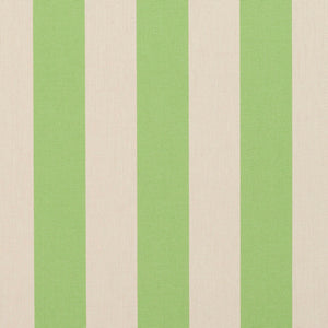 Essentials Outdoor Lime Green Stripe Upholstery Fabric / Spring