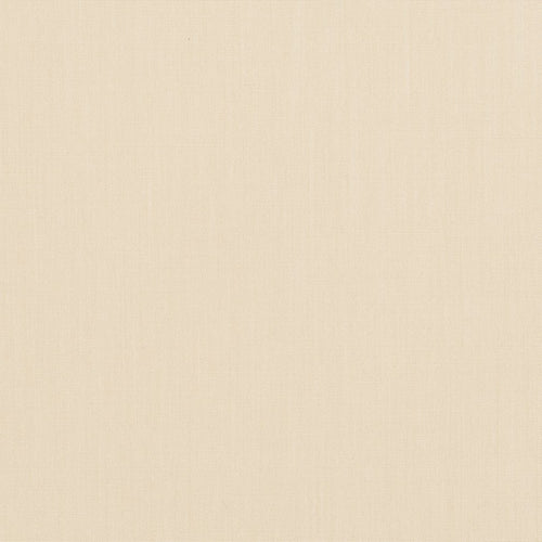 Essentials Outdoor Acrylic Upholstery Drapery Fabric Ivory / 30050-02