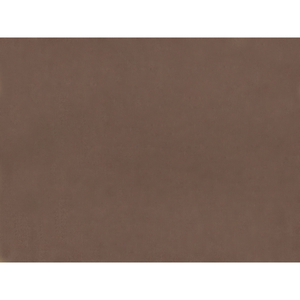 Brunschwig & Fils Sukhothai Fabric / Brownie