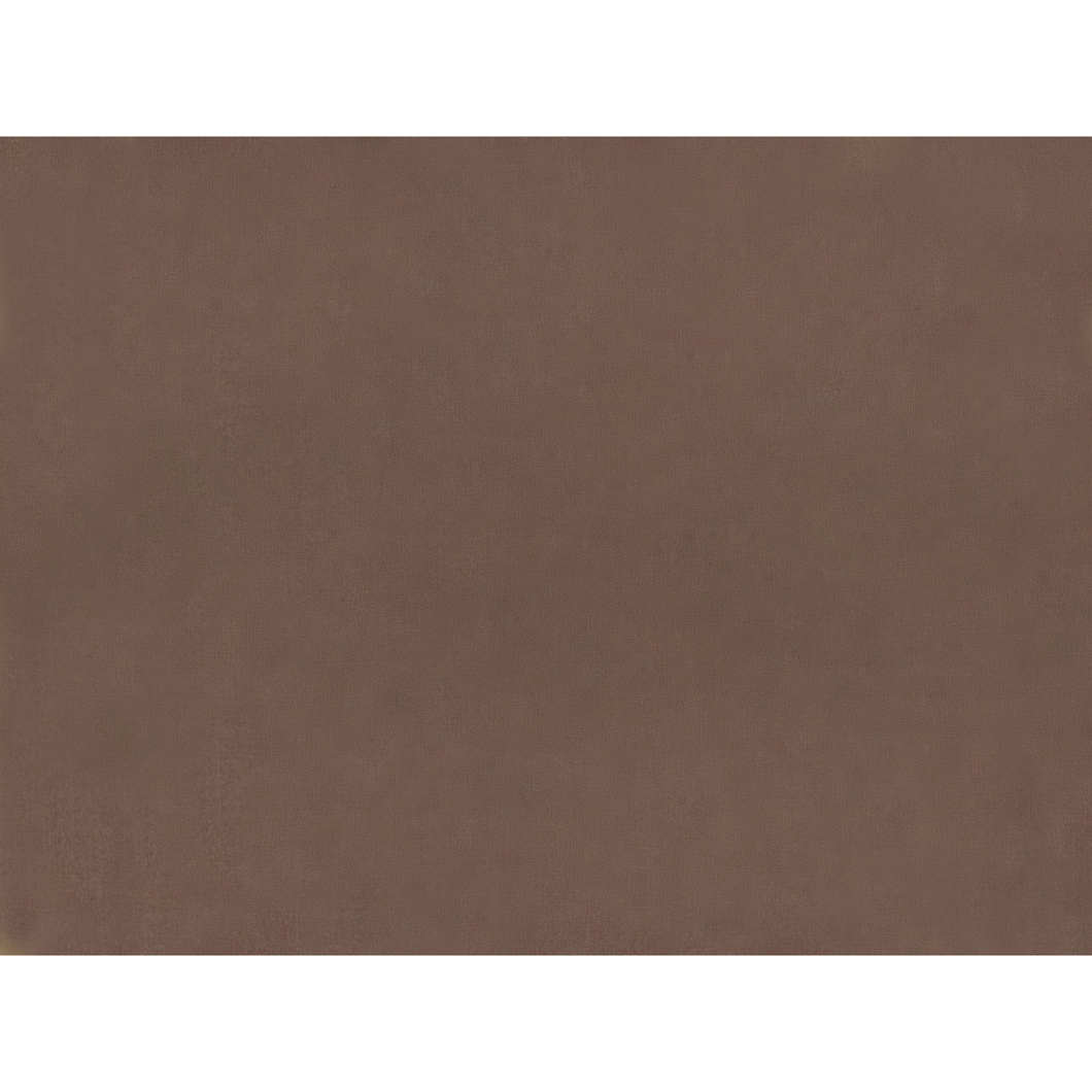 Brunschwig & Fils Sukhothai Fabric / Brownie
