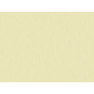 Brunschwig & Fils Shots Fabric / Pongee