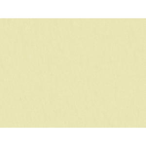 Brunschwig & Fils Shots Fabric / Parchment