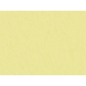Brunschwig & Fils Shots Fabric / Chamois