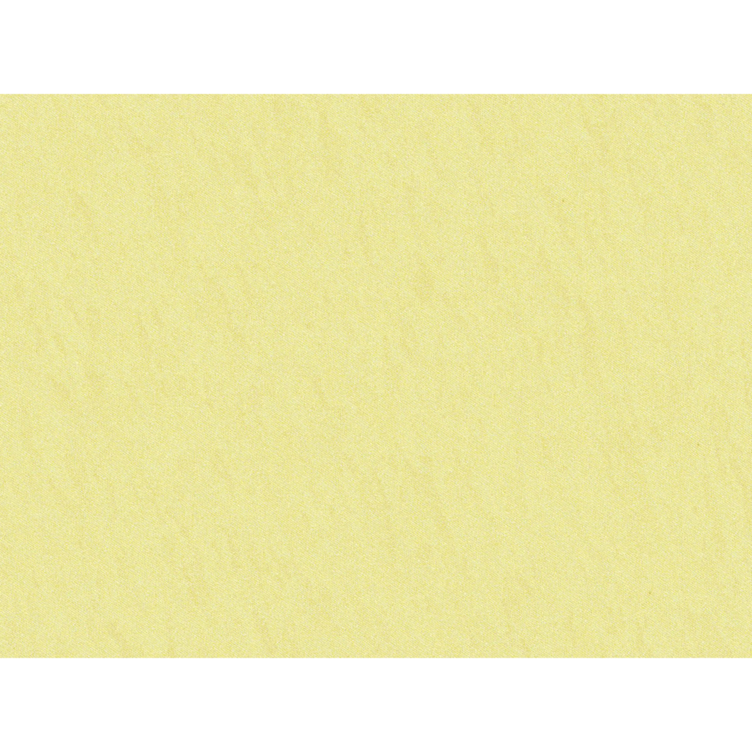 Brunschwig & Fils Shots Fabric / Chamois