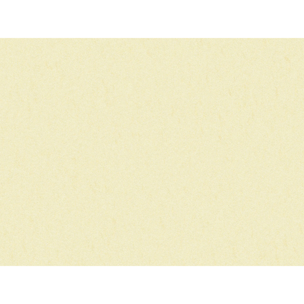 Brunschwig & Fils Shots Fabric / Nacre