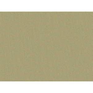Brunschwig & Fils Shots Fabric / Greige Dore