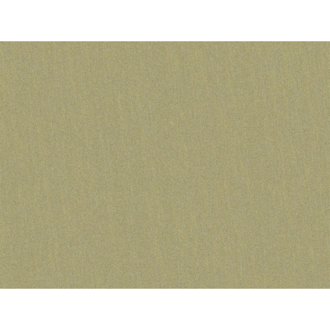 Brunschwig & Fils Shots Fabric / Greige Dore