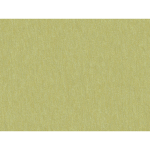Brunschwig & Fils Shots Fabric / Thyme