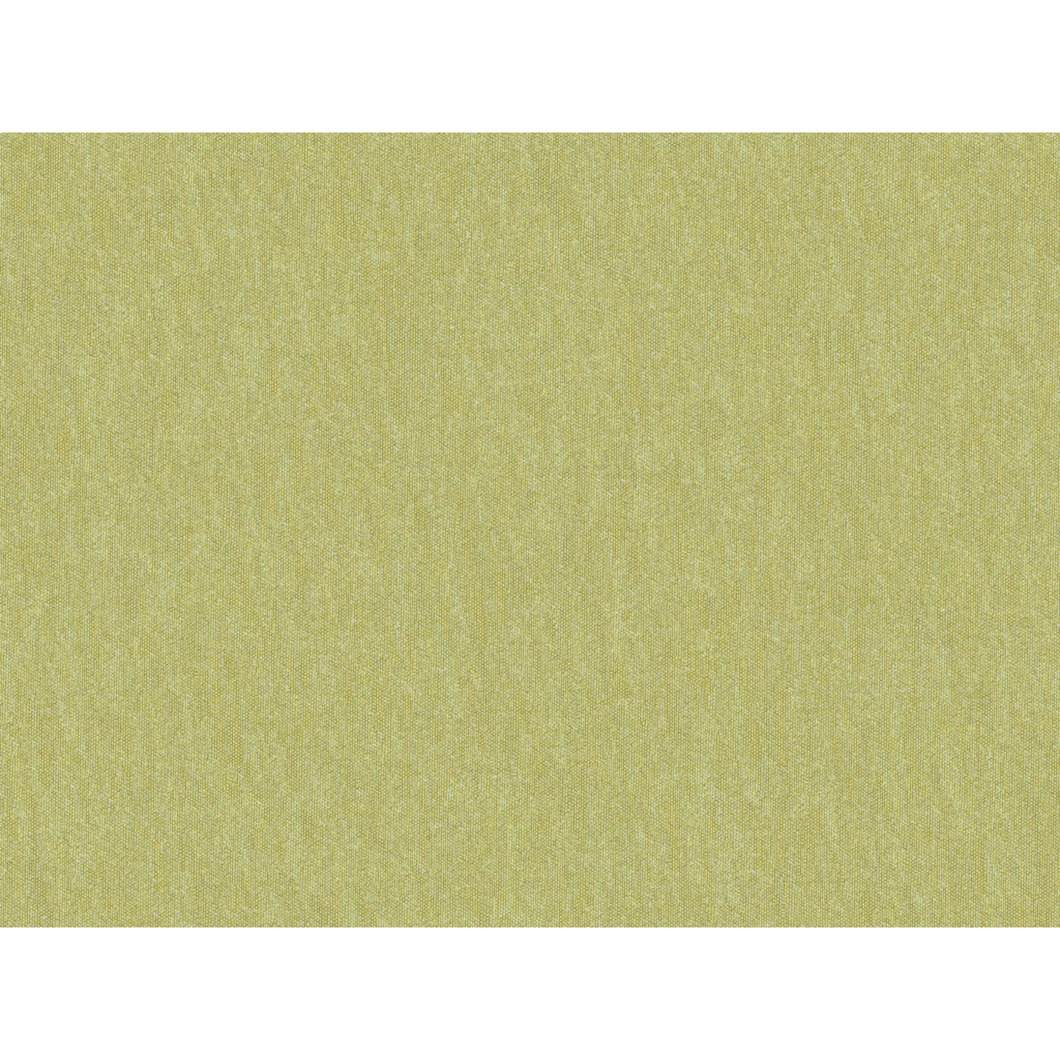 Brunschwig & Fils Shots Fabric / Thyme