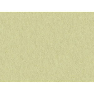 Brunschwig & Fils Shots Fabric / Nil Beige