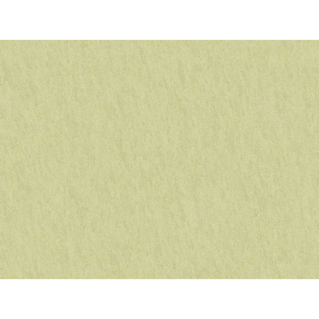 Brunschwig & Fils Shots Fabric / Nil Beige