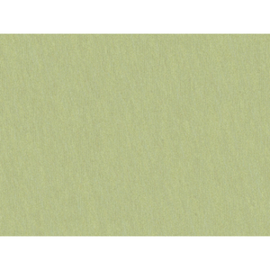 Brunschwig & Fils Shots Fabric / Marjoram