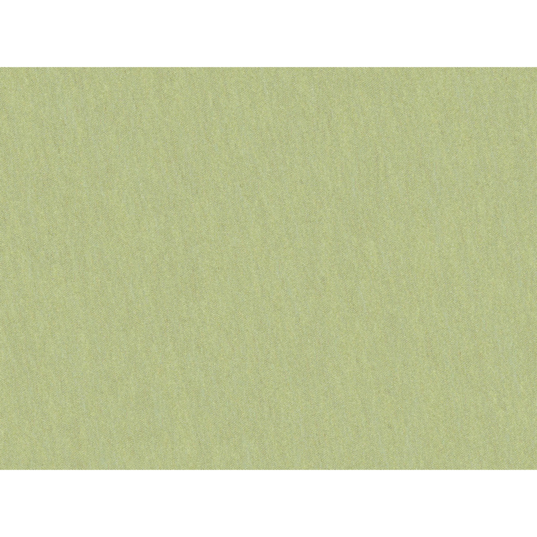 Brunschwig & Fils Shots Fabric / Marjoram