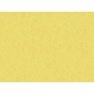 Brunschwig & Fils Shots Fabric / Oro Da Firenze