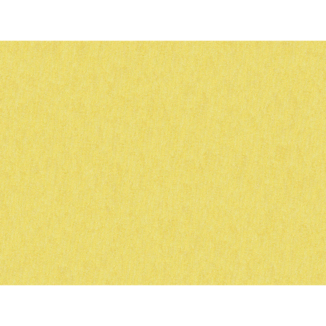 Brunschwig & Fils Shots Fabric / Oro Da Firenze