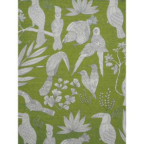 Brunschwig & Fils Silk Bird Fabric / Pistachio