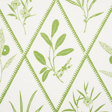 Load image into Gallery viewer, SCHUMACHER ENDIMIONE FABRIC / LEAF
