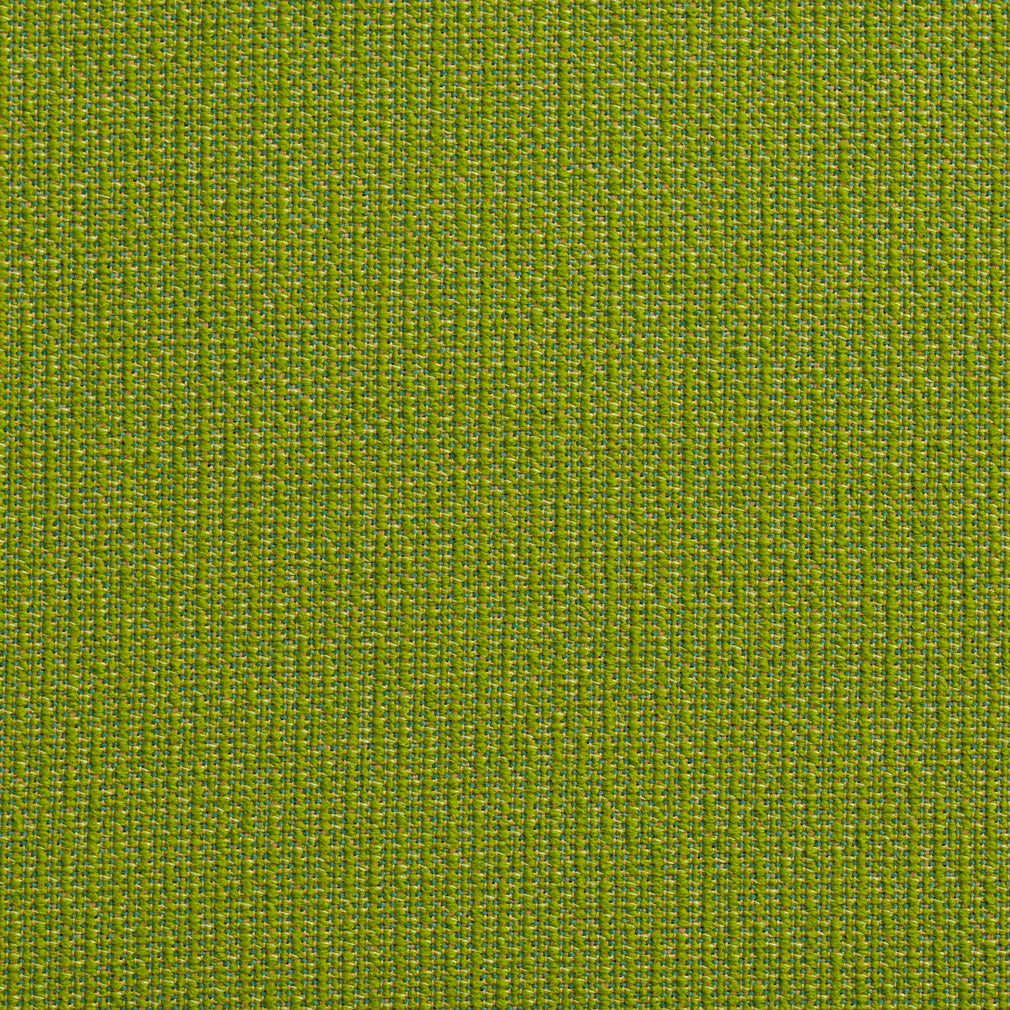 Essentials Outdoor Upholstery Drapery Fabric / Lime