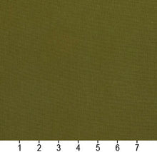 Load image into Gallery viewer, Essentials Cotton Duck Olive Upholstery Drapery Fabric / Moss