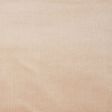 Load image into Gallery viewer, SCHUMACHER VENETIAN SILK VELVET FABRIC / PETAL