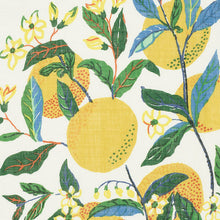 Load image into Gallery viewer, SCHUMACHER CITRUS GARDEN SHEER FABRIC / PRIMARY