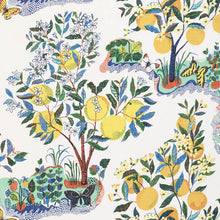 Load image into Gallery viewer, SCHUMACHER CITRUS GARDEN SHEER FABRIC / PRIMARY