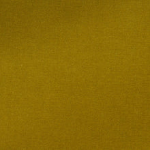 Load image into Gallery viewer, SCHUMACHER ROCKY PERFORMANCE VELVET FABRIC 76604 / PEAR