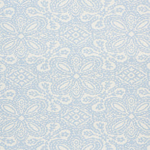 Load image into Gallery viewer, SCHUMACHER HARDWICK FABRIC / SKY