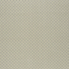 Load image into Gallery viewer, SCHUMACHER SERENDIPITY FABRIC 176425 / SMOKE &amp; TAUPE