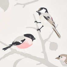 Load image into Gallery viewer, Schumacher A-Twitter Wallpaper 5005032 / Blush
