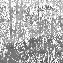 Load image into Gallery viewer, Schumacher Birches Wallpaper / Silver