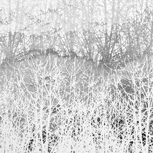 Load image into Gallery viewer, Schumacher Birches Wallpaper / Silver