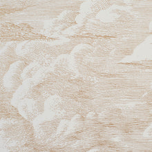 Load image into Gallery viewer, Schumacher Cloud Toile Wallpaper / Gold