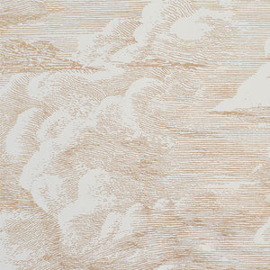 Schumacher Cloud Toile Wallpaper / Gold