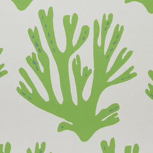 Schumacher Coral Wallpaper / Green