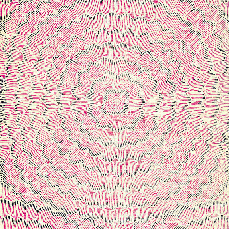 Schumacher Feather Bloom Wallpaper / Fuchsia & Jet