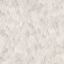 Load image into Gallery viewer, Schumacher Feathers Wallpaper / Brown