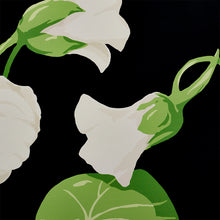 Load image into Gallery viewer, Schumacher Nasturtium Wallpaper / Noir