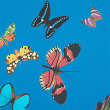 Load image into Gallery viewer, Schumacher Queen's Flight Wallpaper / Royal Blue