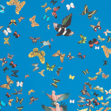 Load image into Gallery viewer, Schumacher Queen's Flight Wallpaper / Royal Blue