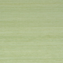 Load image into Gallery viewer, Schumacher Silk Strie Wallpaper / Leaf