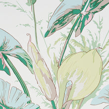 Load image into Gallery viewer, Schumacher Tropique Wallpaper / Blush