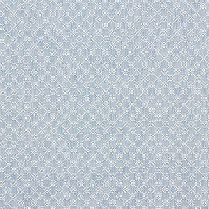 Schumacher Albert Fret Fabric / Blue