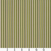 Load image into Gallery viewer, Essentials Outdoor Marine Upholstery Stripe Fabric Lime Green Coral / Kiwi