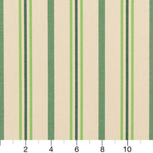 Load image into Gallery viewer, Essentials Outdoor Acrylic Stripe Upholstery Drapery Fabric Lime Green White / 30020-02